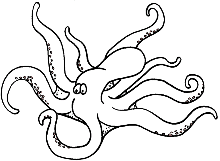 Plansa de colorat cu Caracatita 5 20